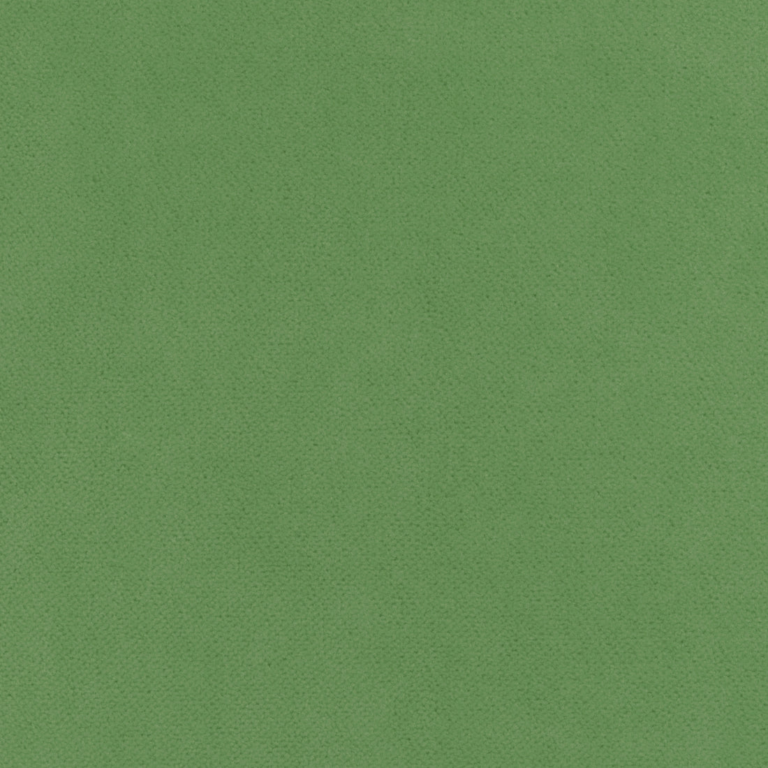 Club Velvet fabric in grass color - pattern number W7254 - by Thibaut in the Club Velvet collection