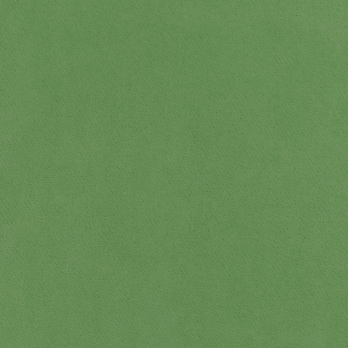 Club Velvet fabric in grass color - pattern number W7254 - by Thibaut in the Club Velvet collection