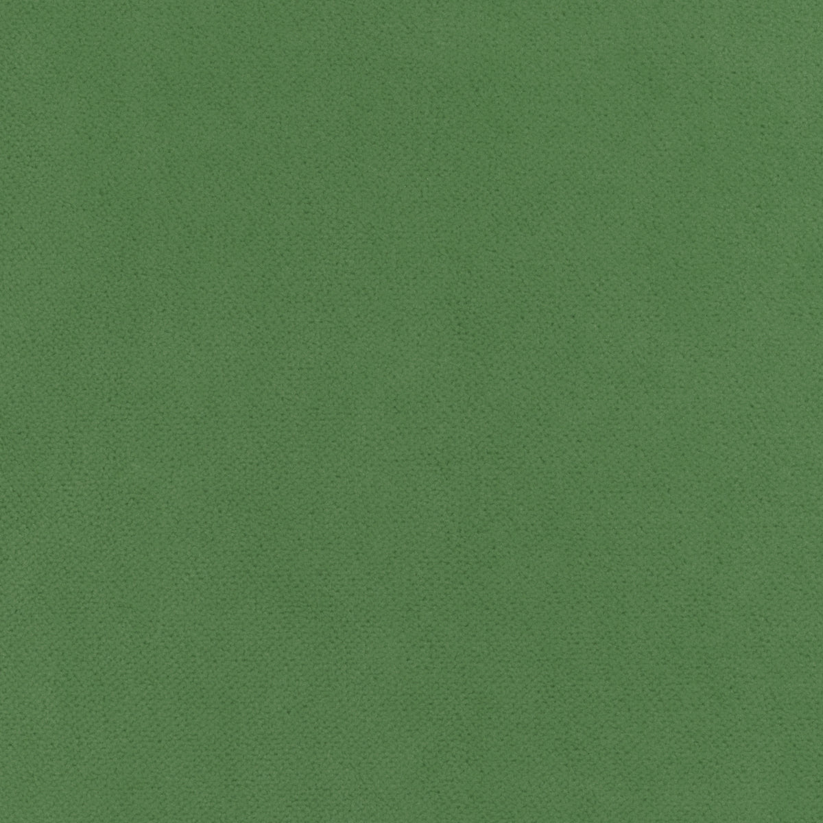 Club Velvet fabric in kelly color - pattern number W7255 - by Thibaut in the Club Velvet collection