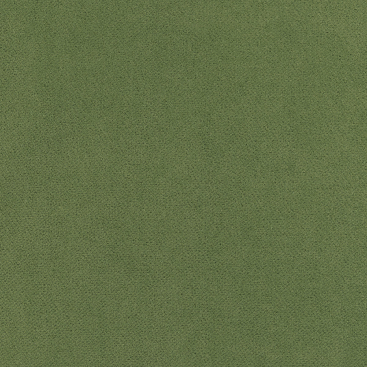Club Velvet fabric in celadon color - pattern number W7257 - by Thibaut in the Club Velvet collection