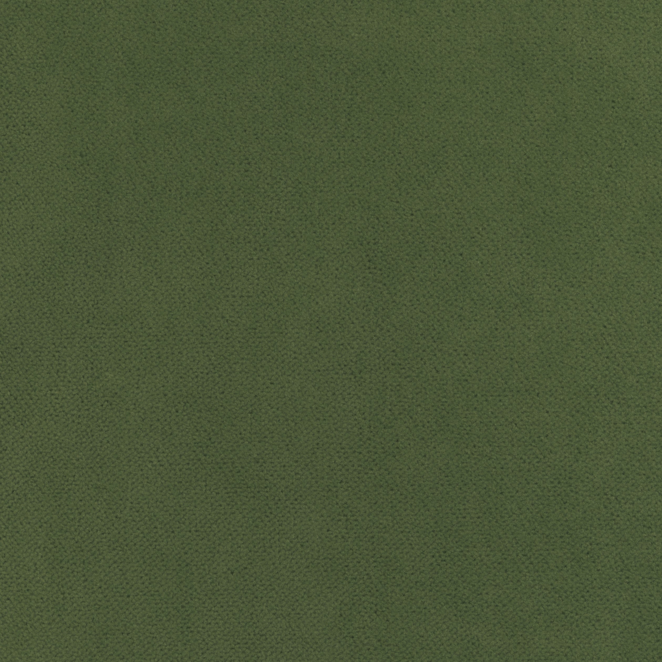 Club Velvet fabric in olive color - pattern number W7258 - by Thibaut in the Club Velvet collection