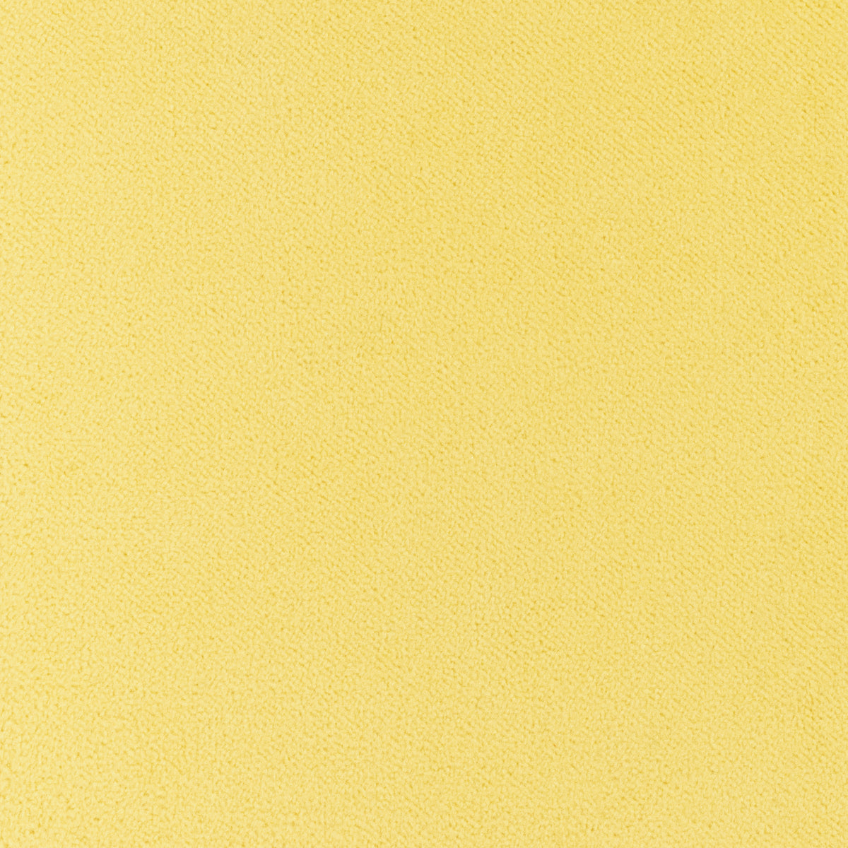 Club Velvet fabric in sunshine color - pattern number W7259 - by Thibaut in the Club Velvet collection