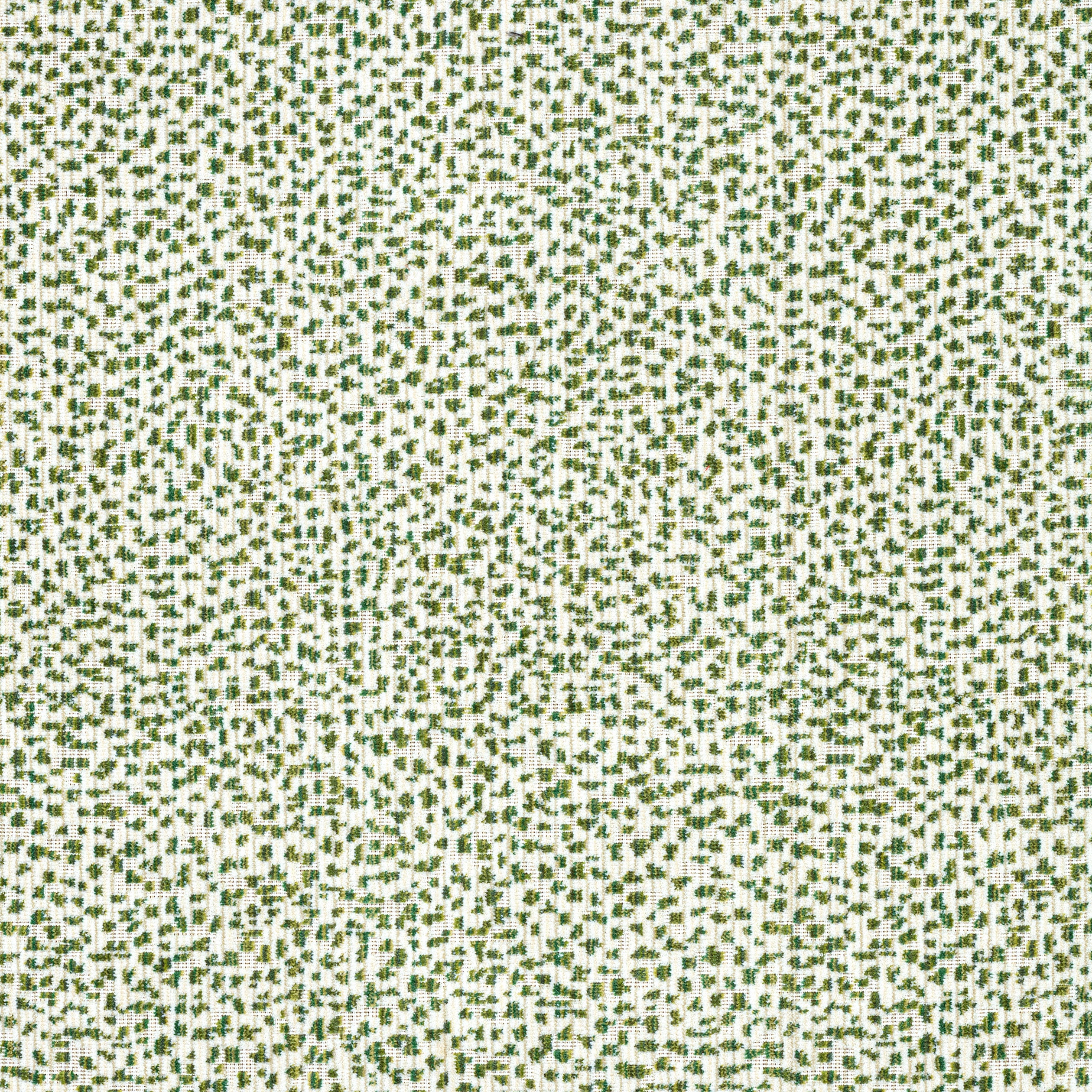 Swing Velvet fabric in emerald color - pattern number W72801 - by Thibaut in the Woven Resource 13: Fusion Velvets collection
