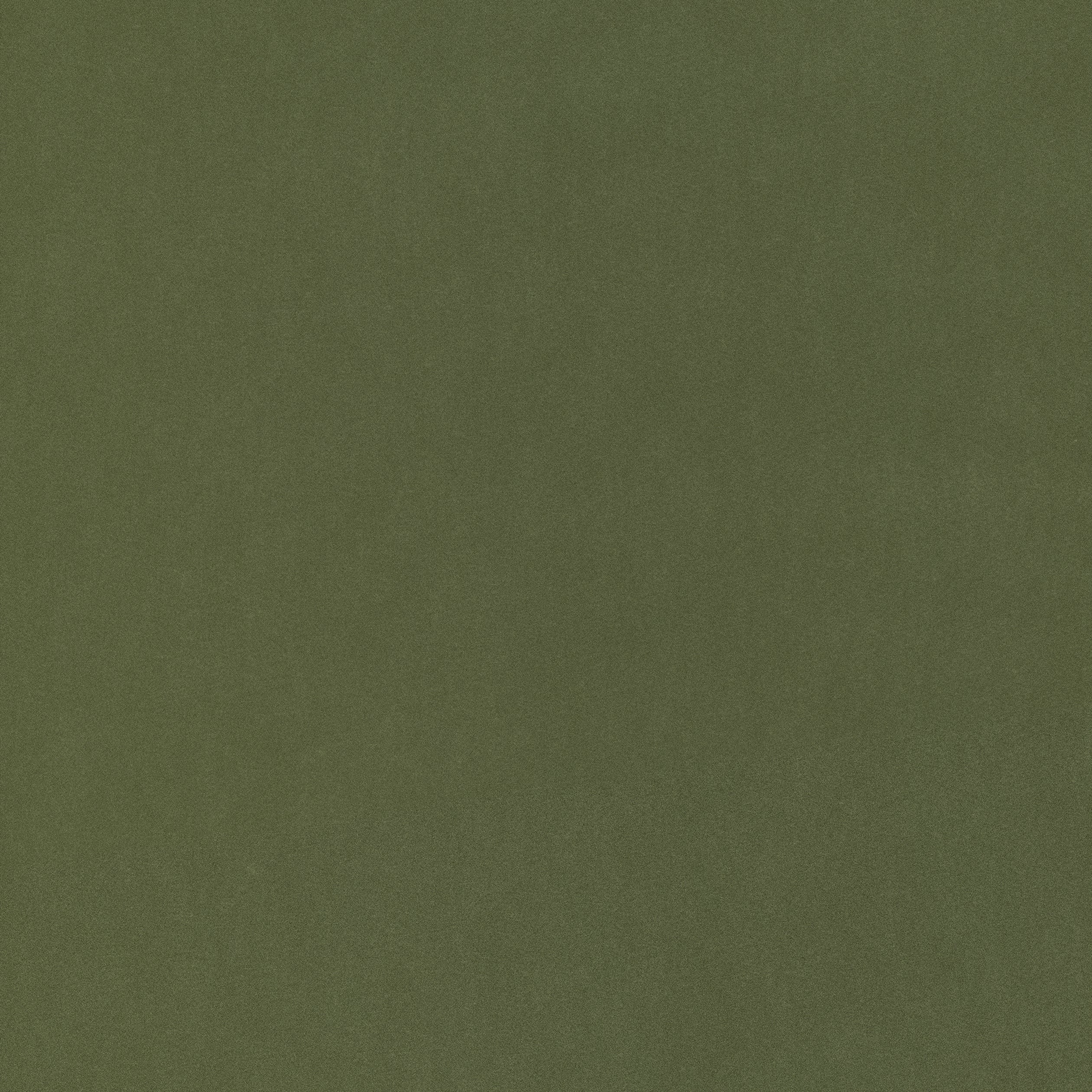 Miles Mohair Velvet fabric in ivy color - pattern number W72822 - by Thibaut in the Woven Resource 13: Fusion Velvets collection