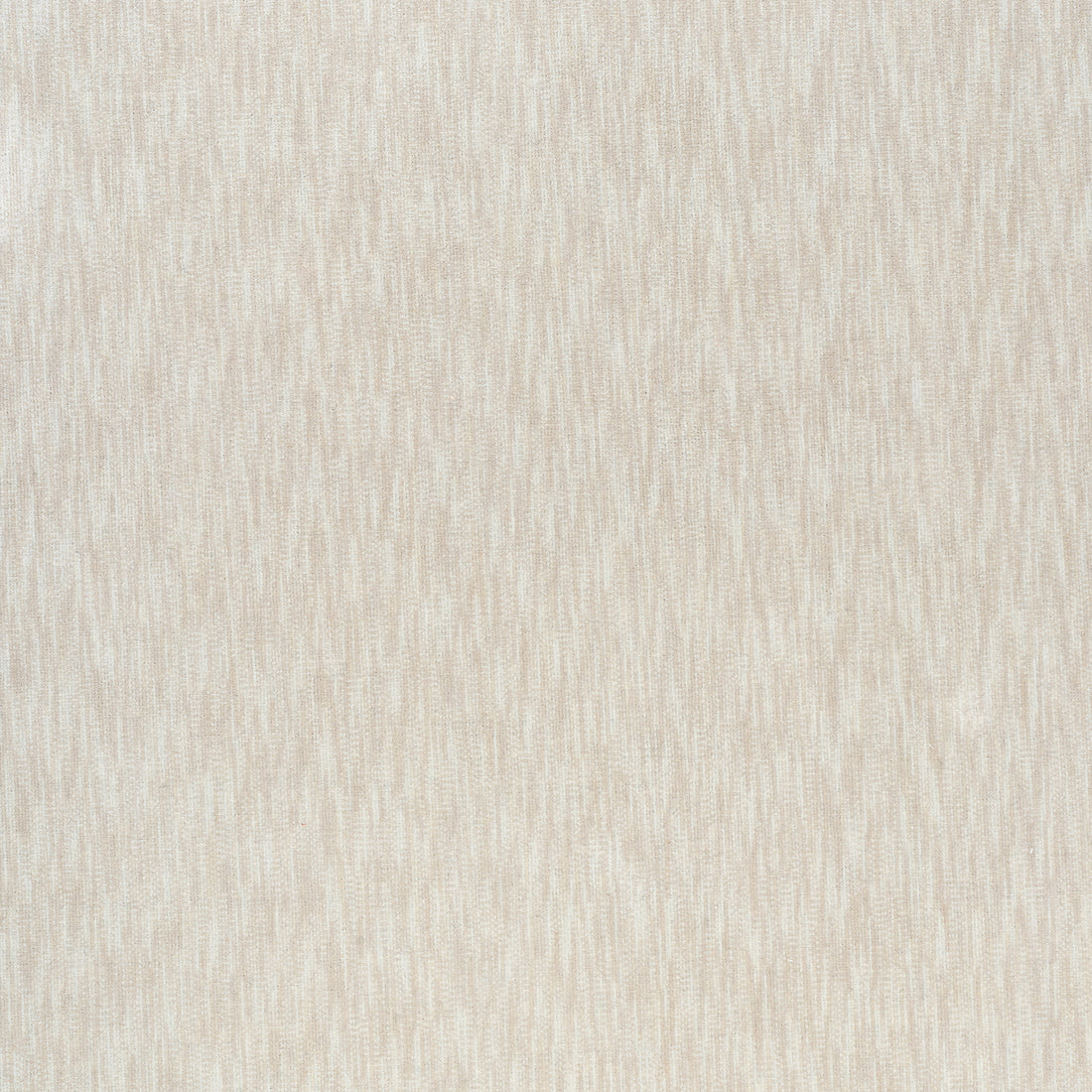 Riff Velvet fabric in oyster color - pattern number W72831 - by Thibaut in the Woven Resource 13: Fusion Velvets collection