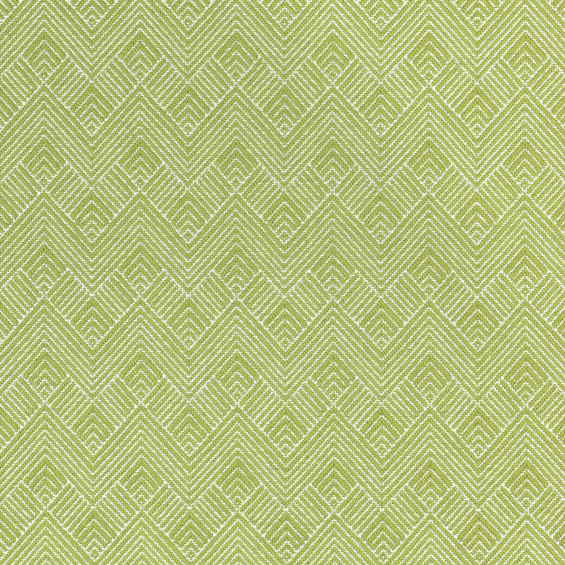 Maddox fabric in leaf color - pattern number W73330 - by Thibaut in the Nomad collection