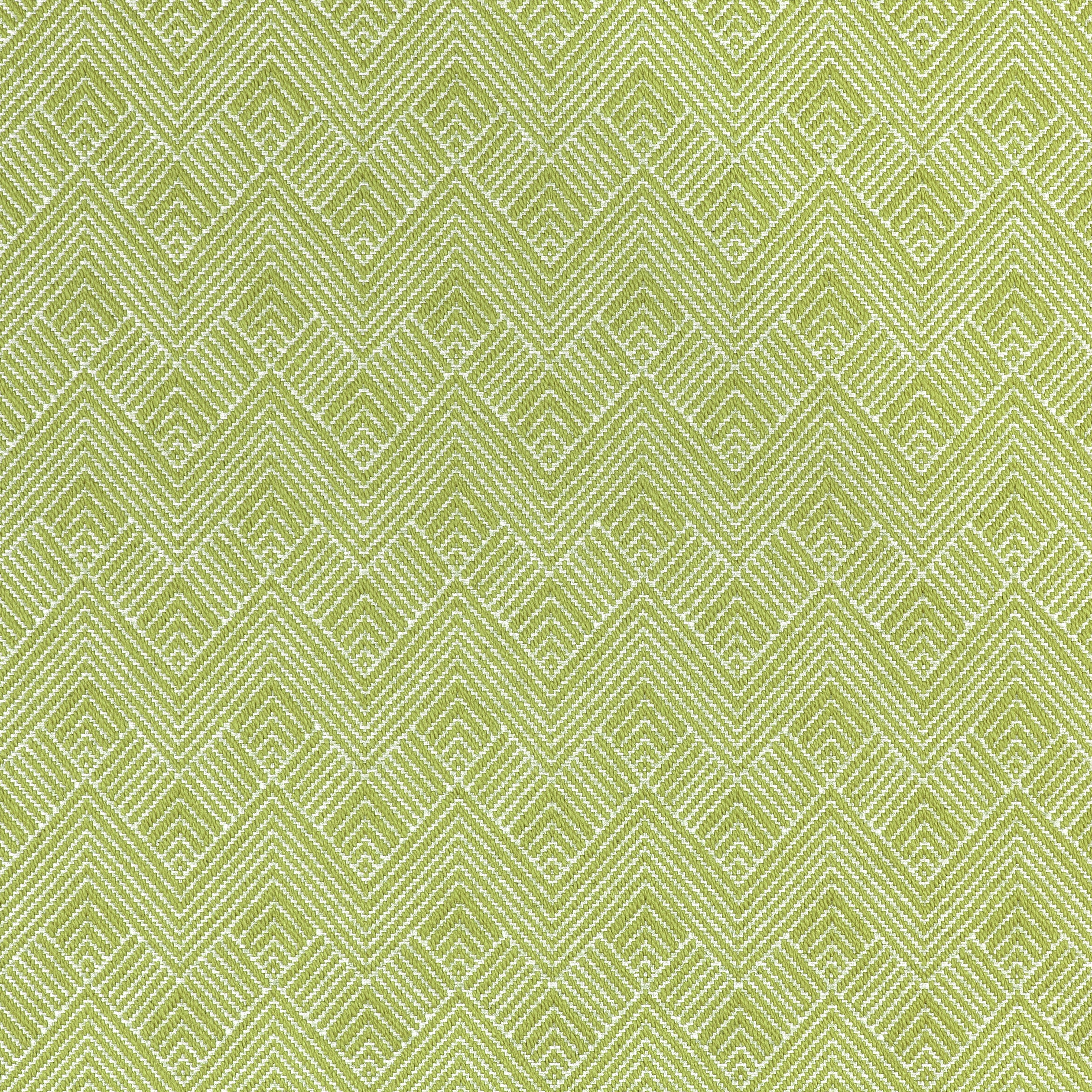 Maddox fabric in leaf color - pattern number W73330 - by Thibaut in the Nomad collection