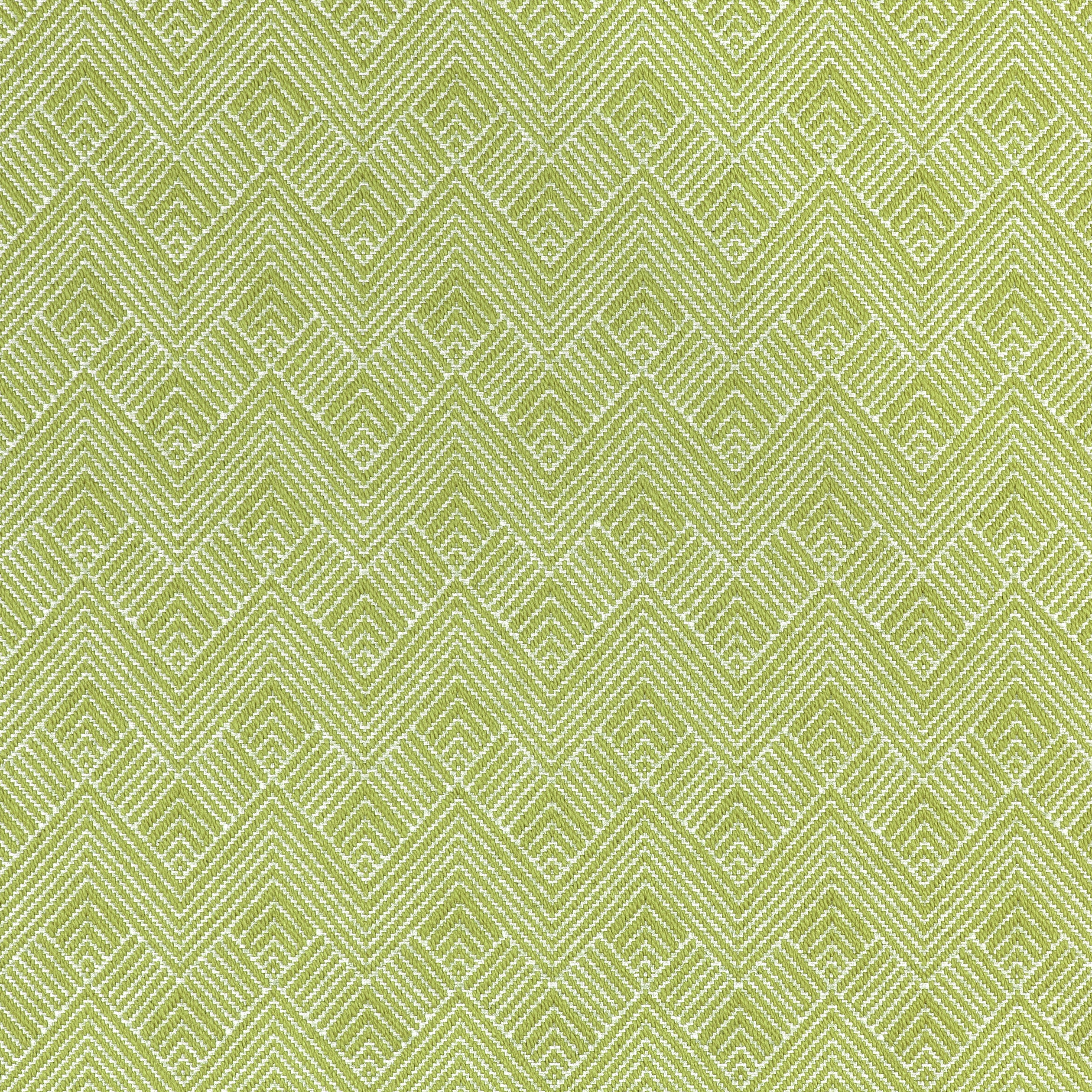 Maddox fabric in leaf color - pattern number W73330 - by Thibaut in the Nomad collection