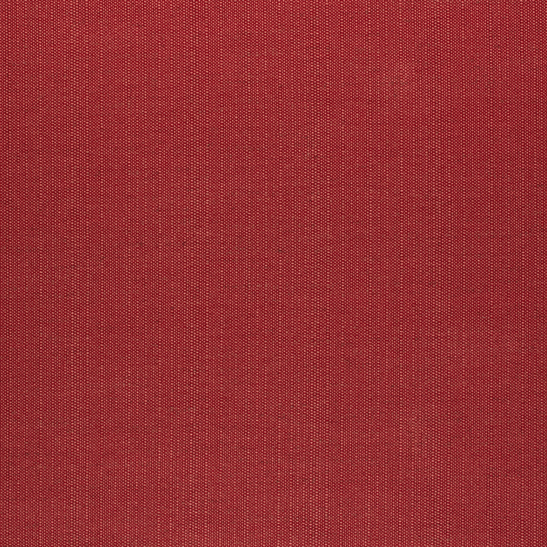Brooks fabric in red color - pattern number W73372 - by Thibaut in the Nomad collection