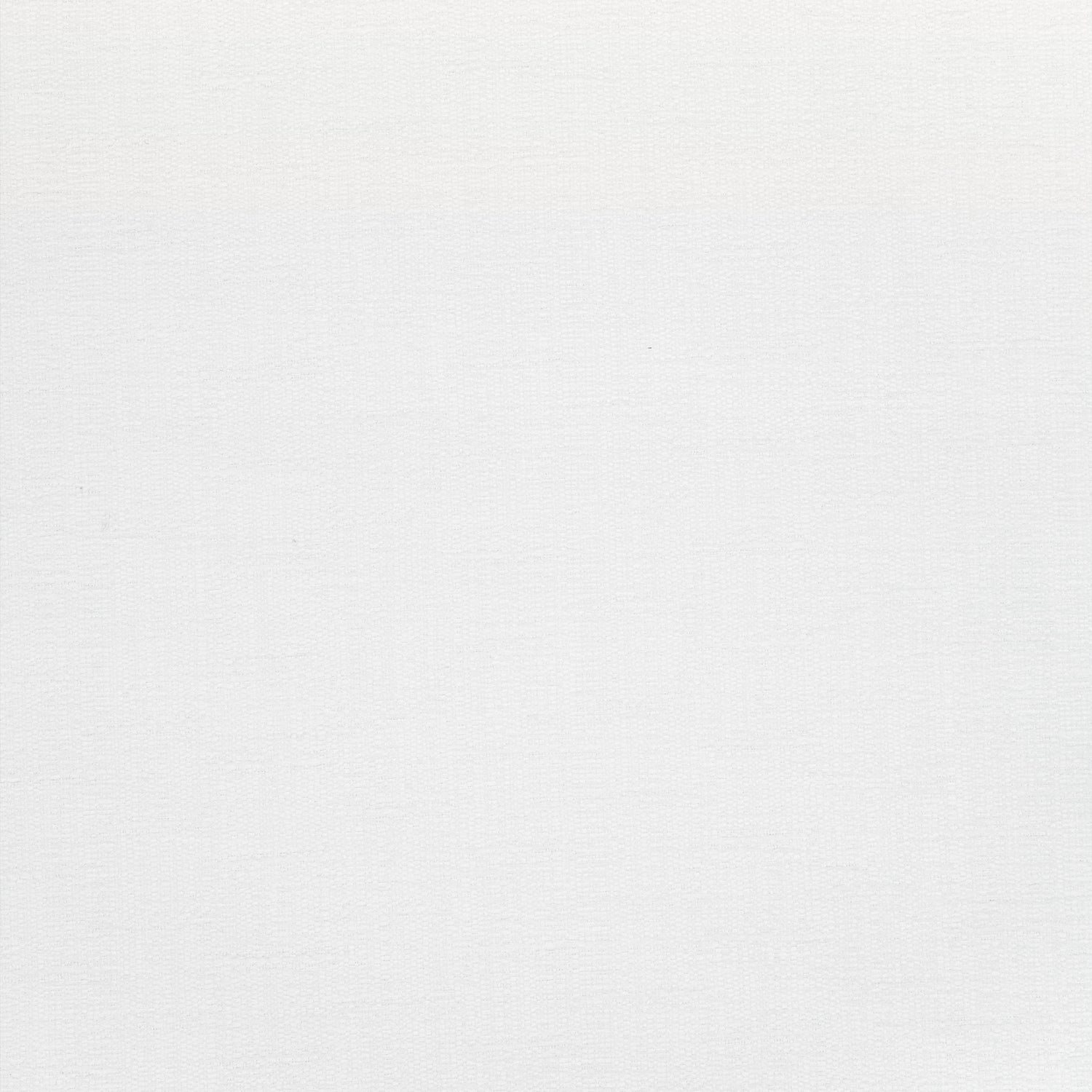 Vista fabric in snow white color - pattern number W73394 - by Thibaut in the Landmark Textures collection