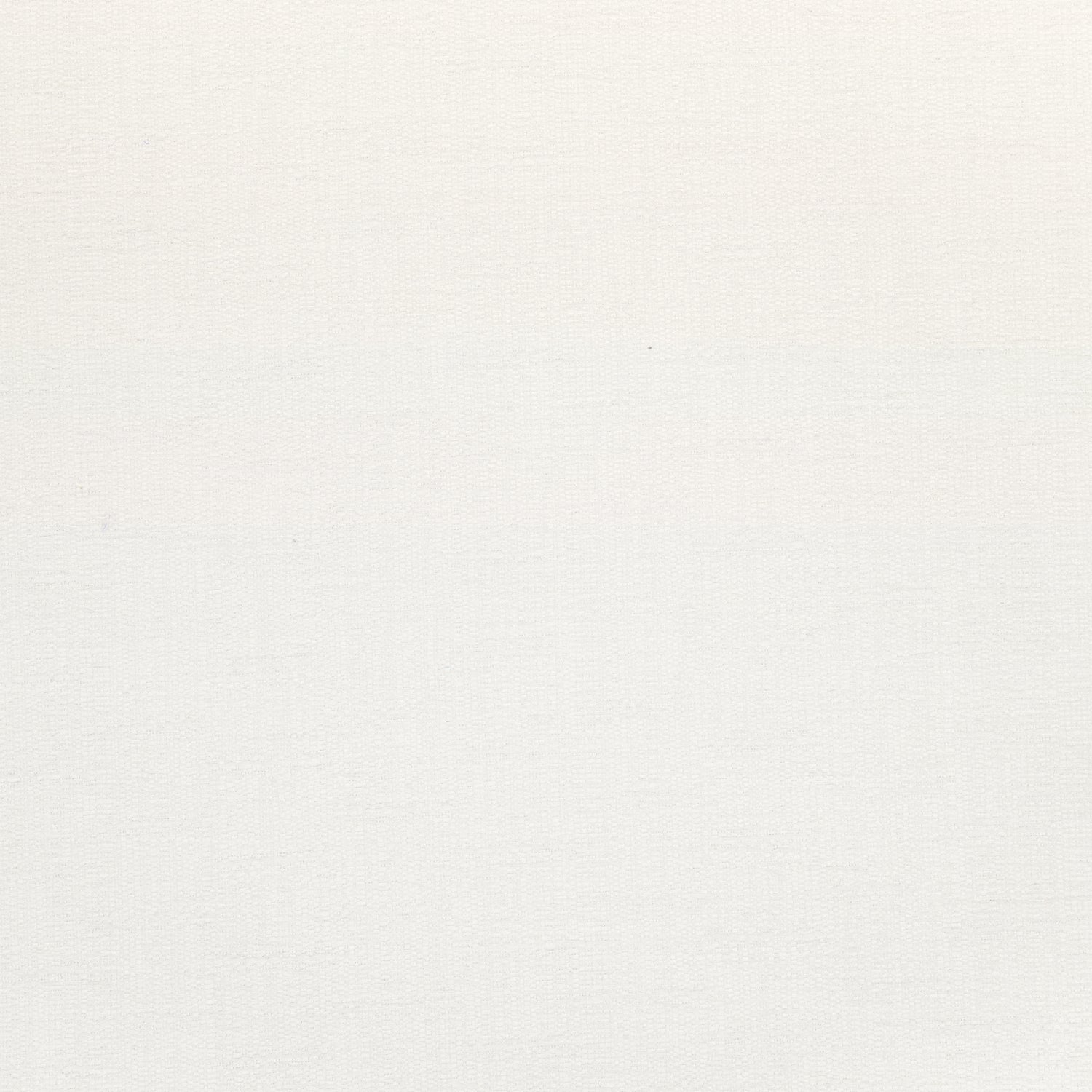 Vista fabric in ivory color - pattern number W73395 - by Thibaut in the Landmark Textures collection