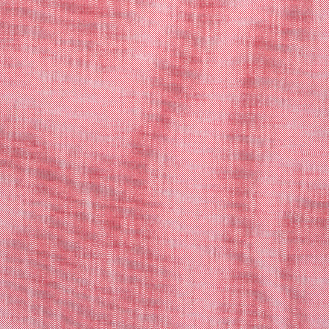 Bristol fabric in peony color - pattern number W73406 - by Thibaut in the Landmark Textures collection