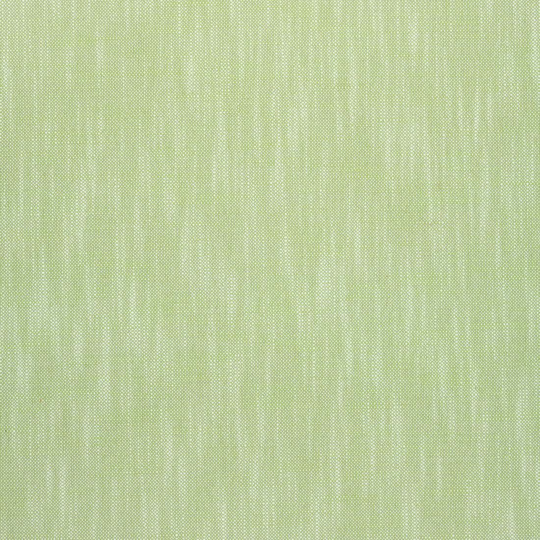 Bristol fabric in green apple color - pattern number W73410 - by Thibaut in the Landmark Textures collection