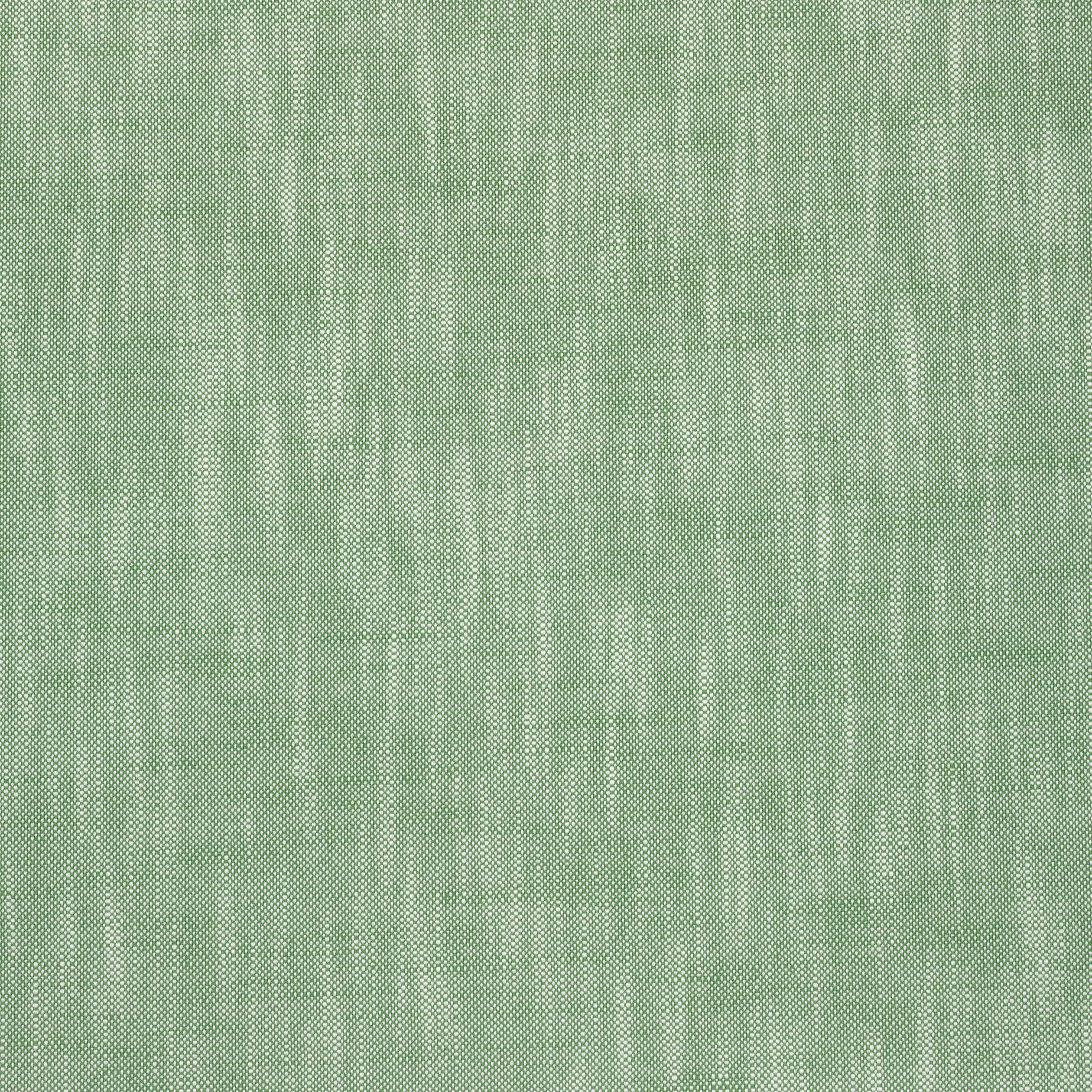 Bristol fabric in kelly green color - pattern number W73411 - by Thibaut in the Soleil Textures collection