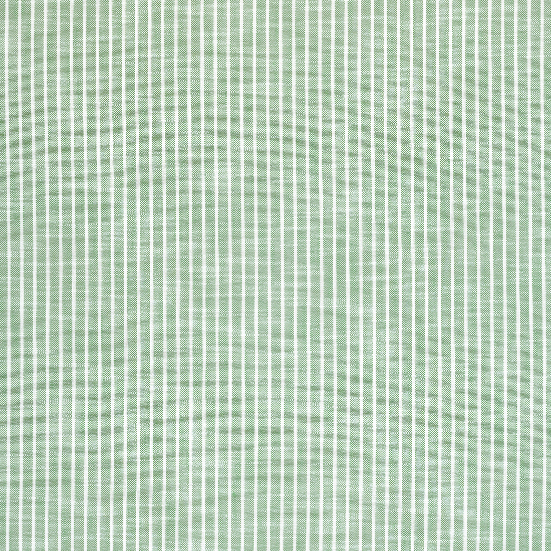 Bayside Stripe fabric in kelly green color - pattern number W73474 - by Thibaut in the Landmark collection