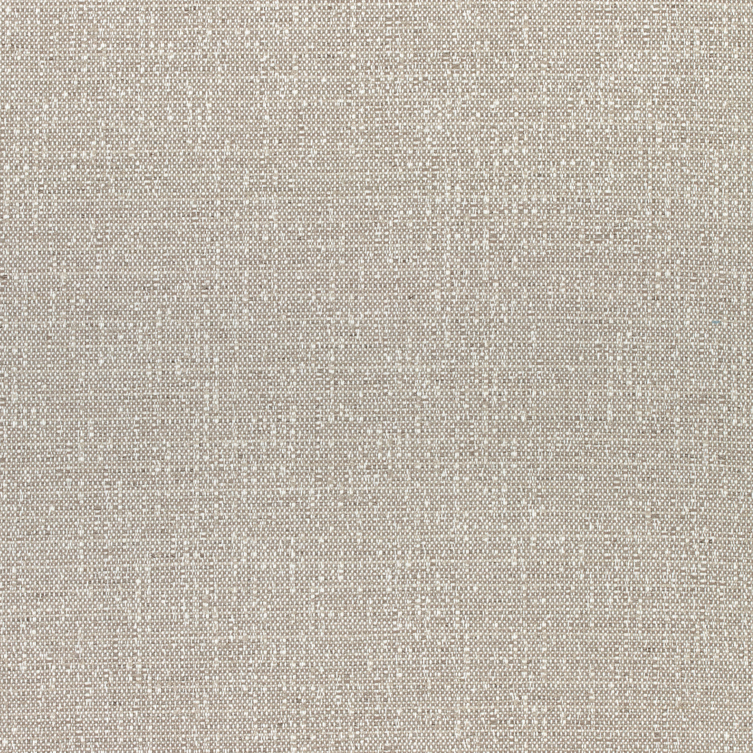 Everly fabric in stone color - pattern number W74057 - by Thibaut in the Cadence collection