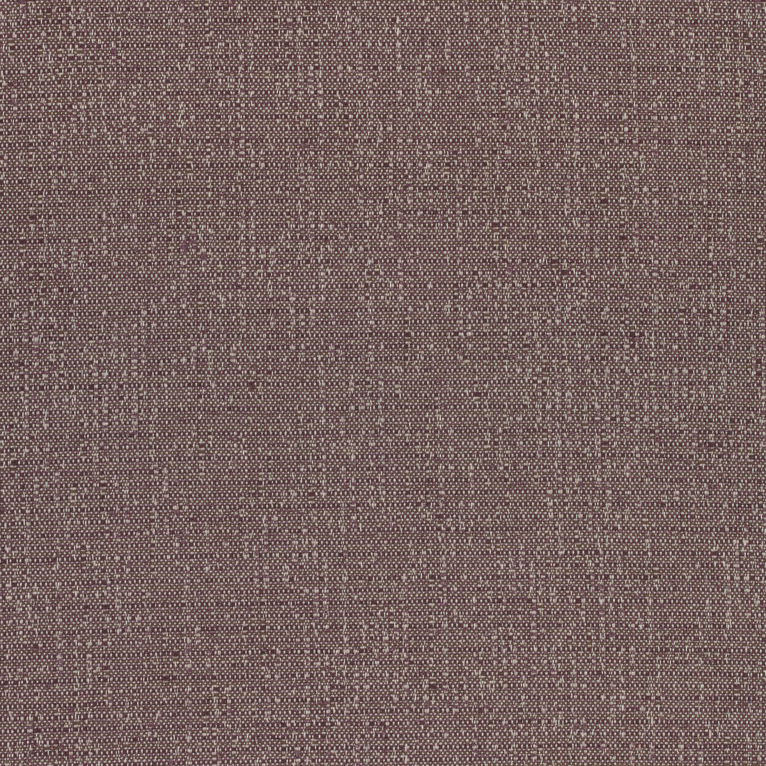 Everly fabric in plum color - pattern number W74060 - by Thibaut in the Cadence collection