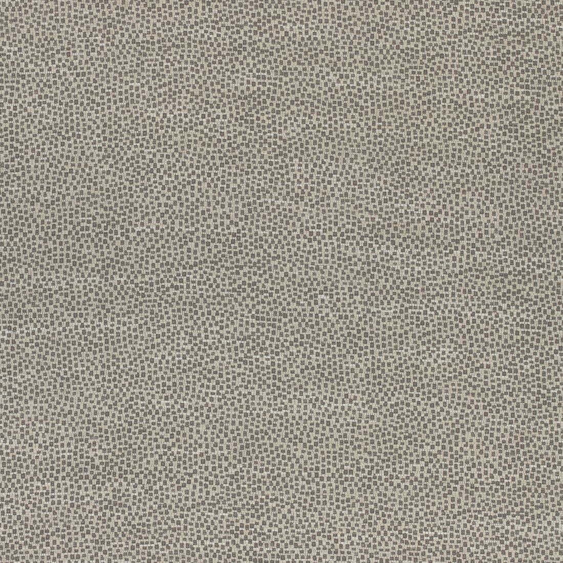 Nala fabric in stone color - pattern number W74077 - by Thibaut in the Cadence collection