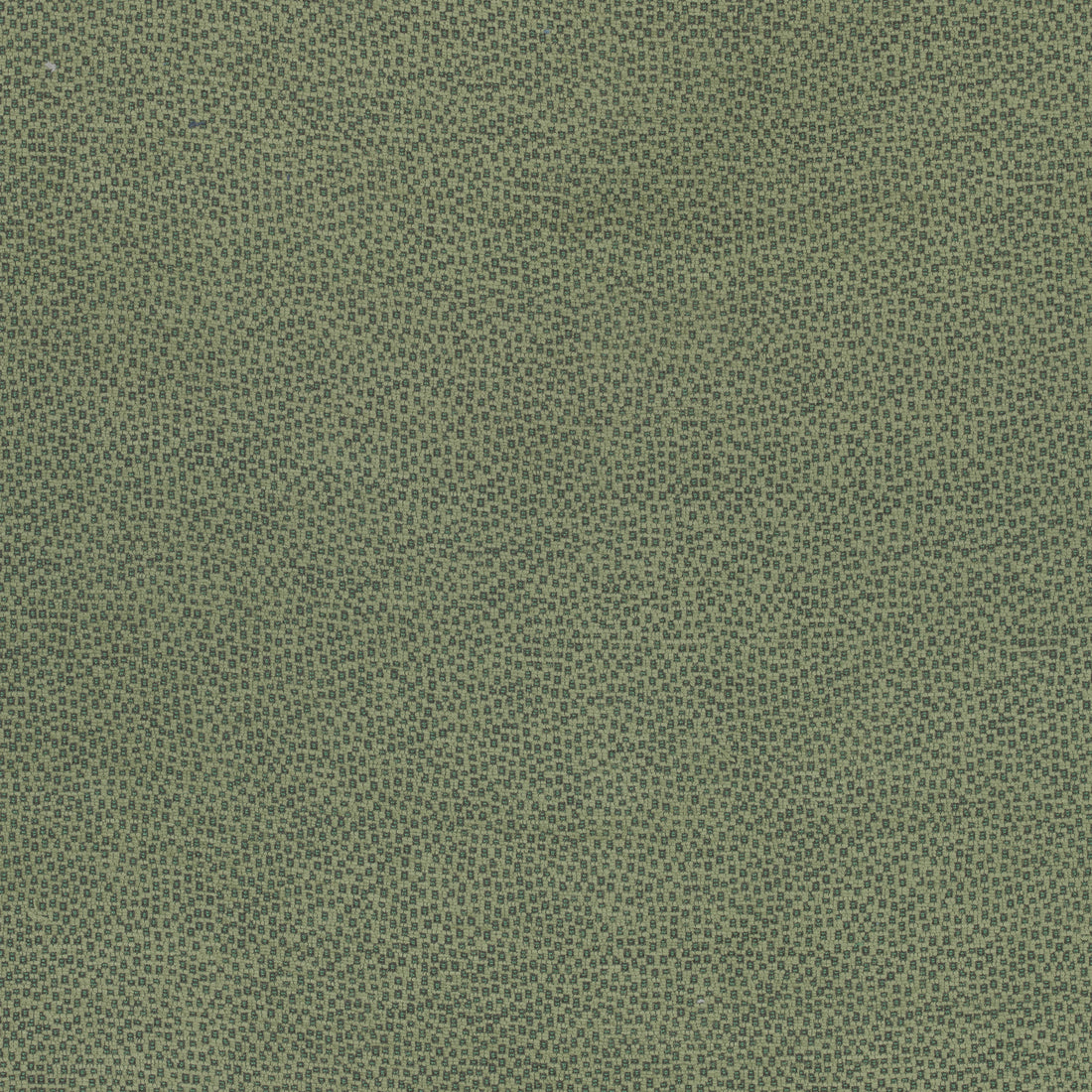 Nala fabric in emerald color - pattern number W74078 - by Thibaut in the Cadence collection