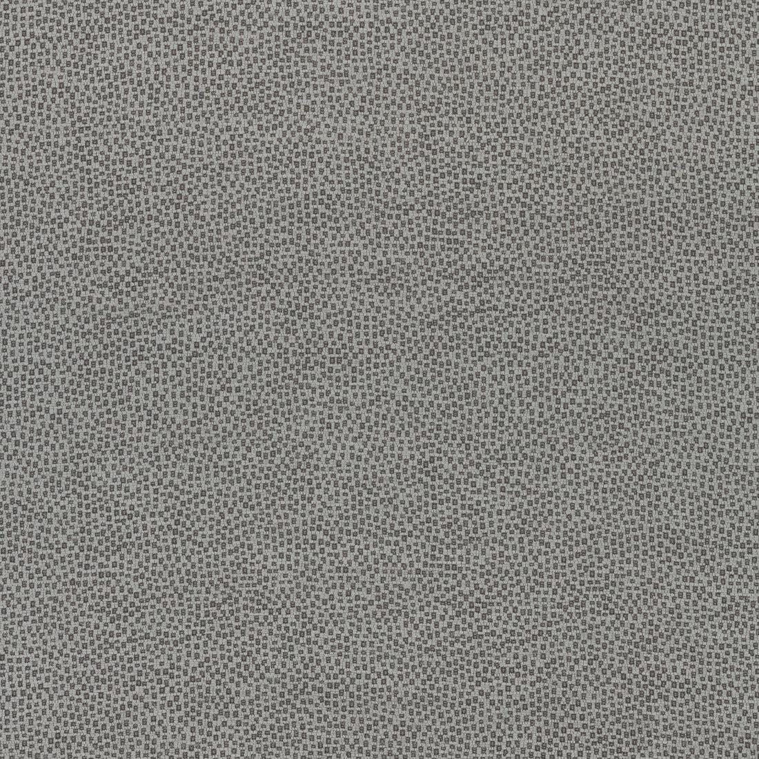 Nala fabric in charcoal color - pattern number W74081 - by Thibaut in the Cadence collection