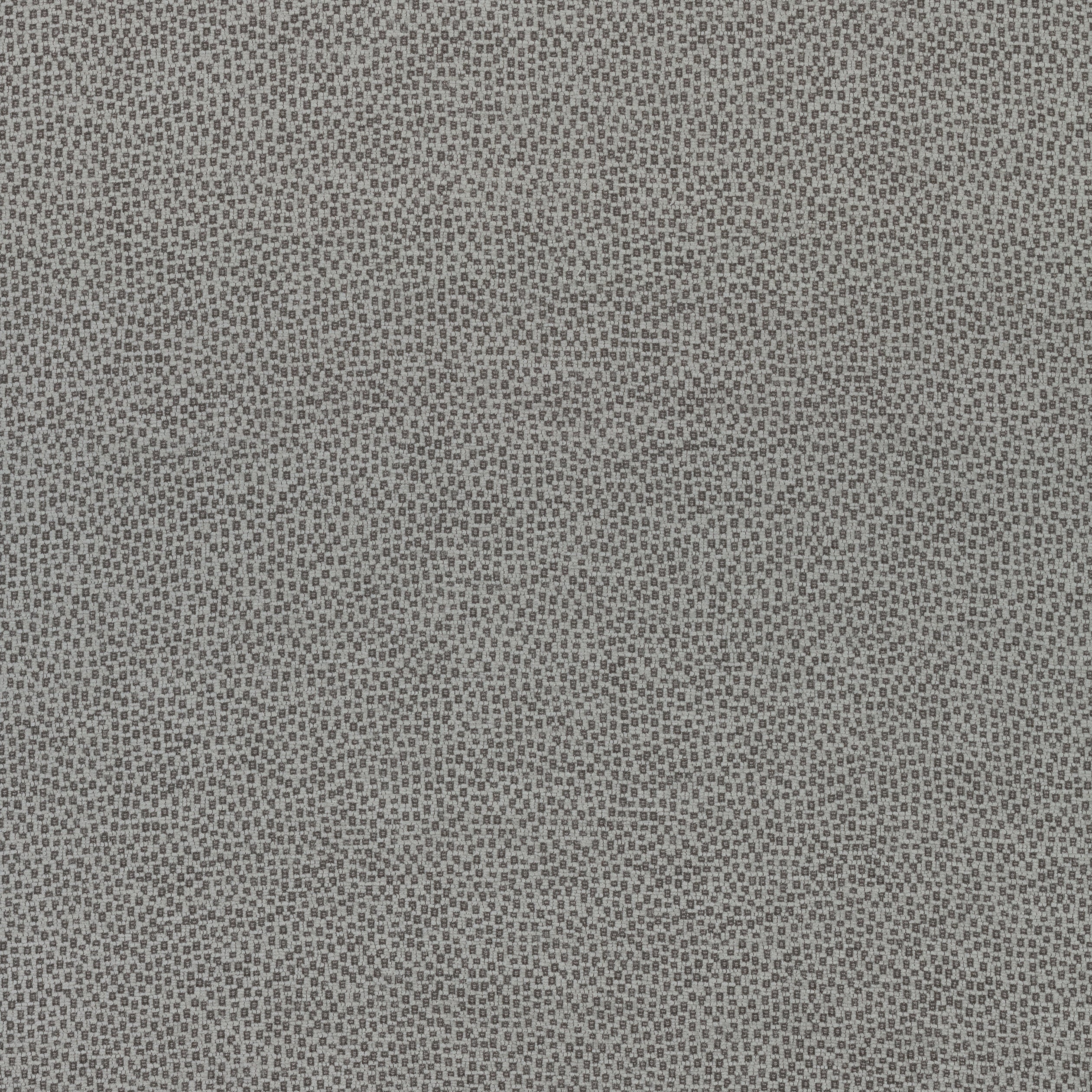 Nala fabric in charcoal color - pattern number W74081 - by Thibaut in the Cadence collection