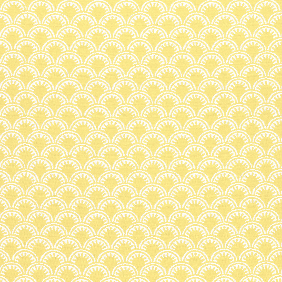 Maisie fabric in sunshine color - pattern number W74636 - by Thibaut in the Festival collection