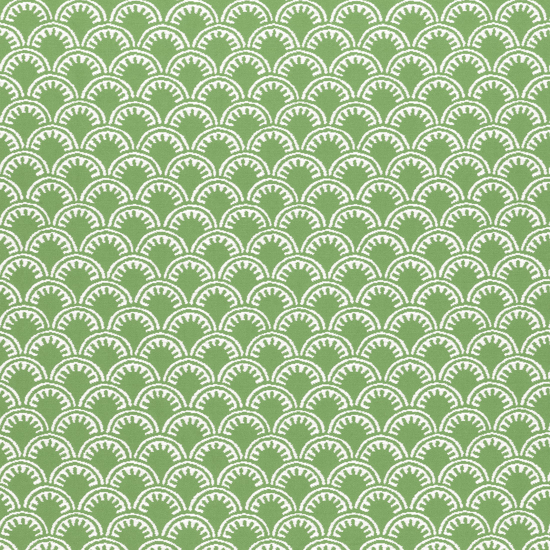 Maisie fabric in kelly green color - pattern number W74637 - by Thibaut in the Festival collection