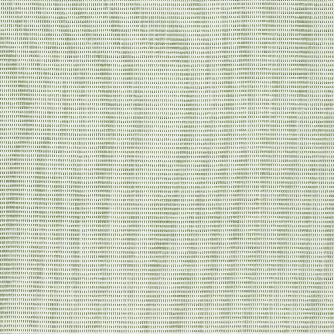 Dune fabric in spring color - pattern number W75219 - by Thibaut in the Elements collection