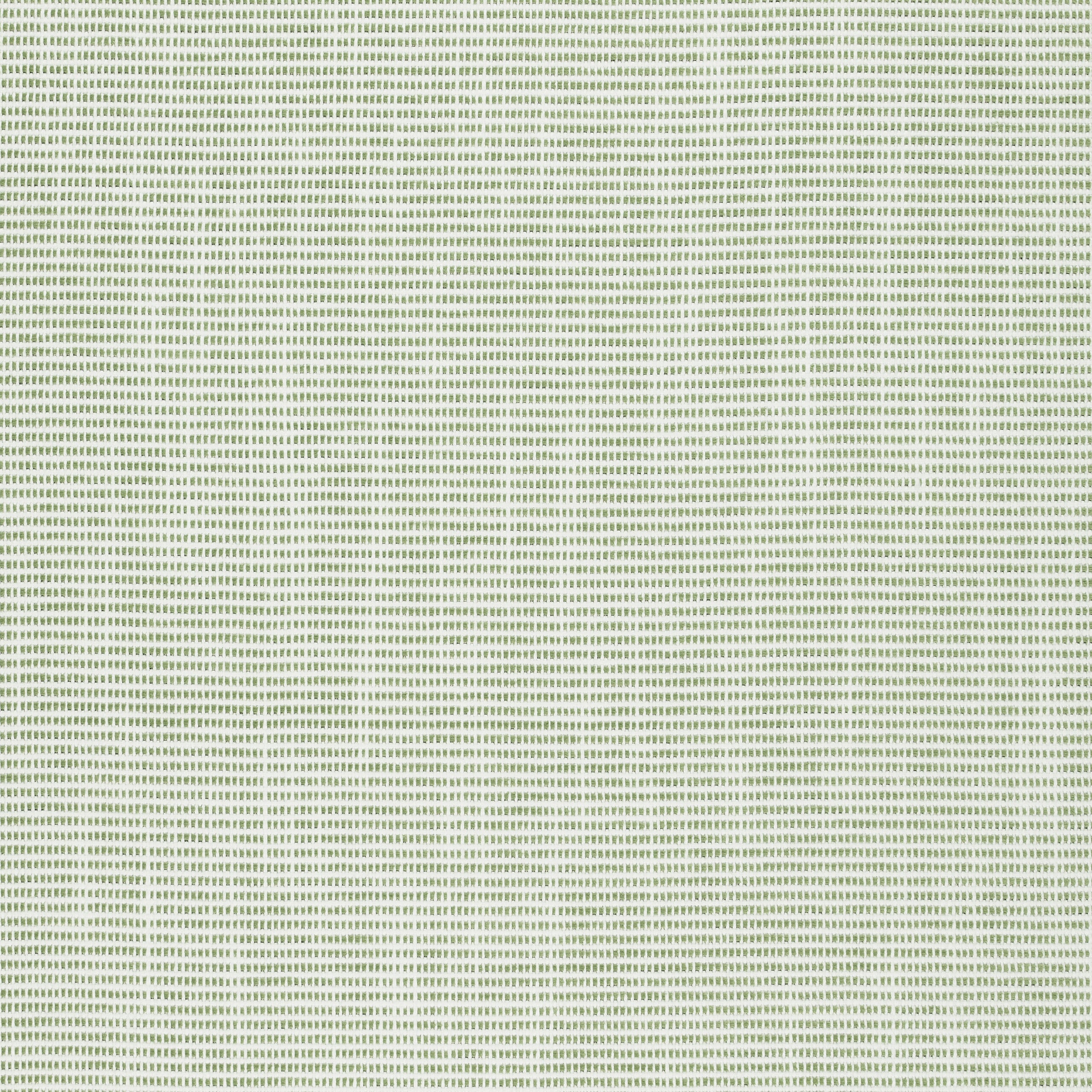 Dune fabric in spring color - pattern number W75219 - by Thibaut in the Elements collection