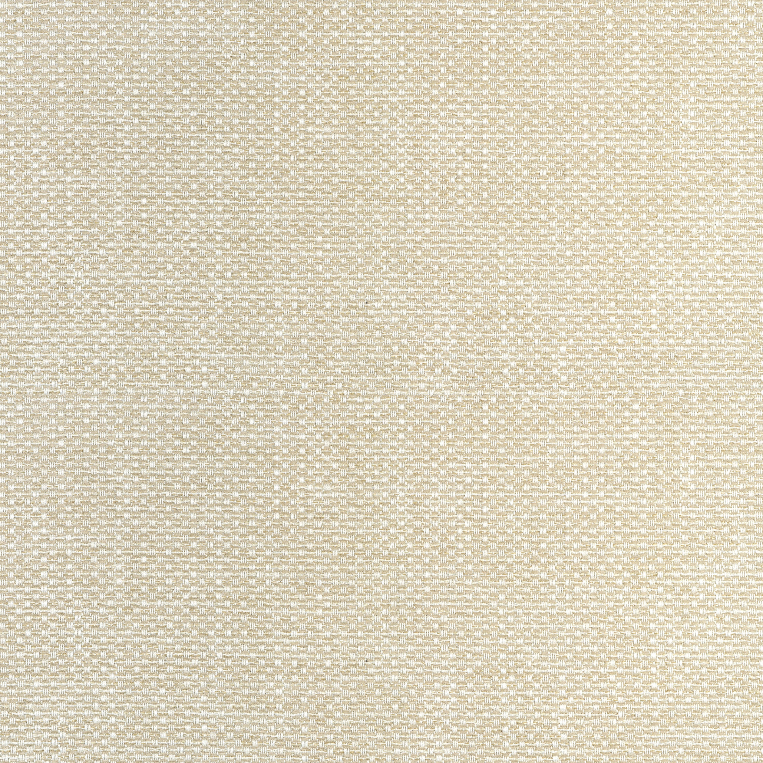 Cascade fabric in linen color - pattern number W75253 - by Thibaut in the Elements collection