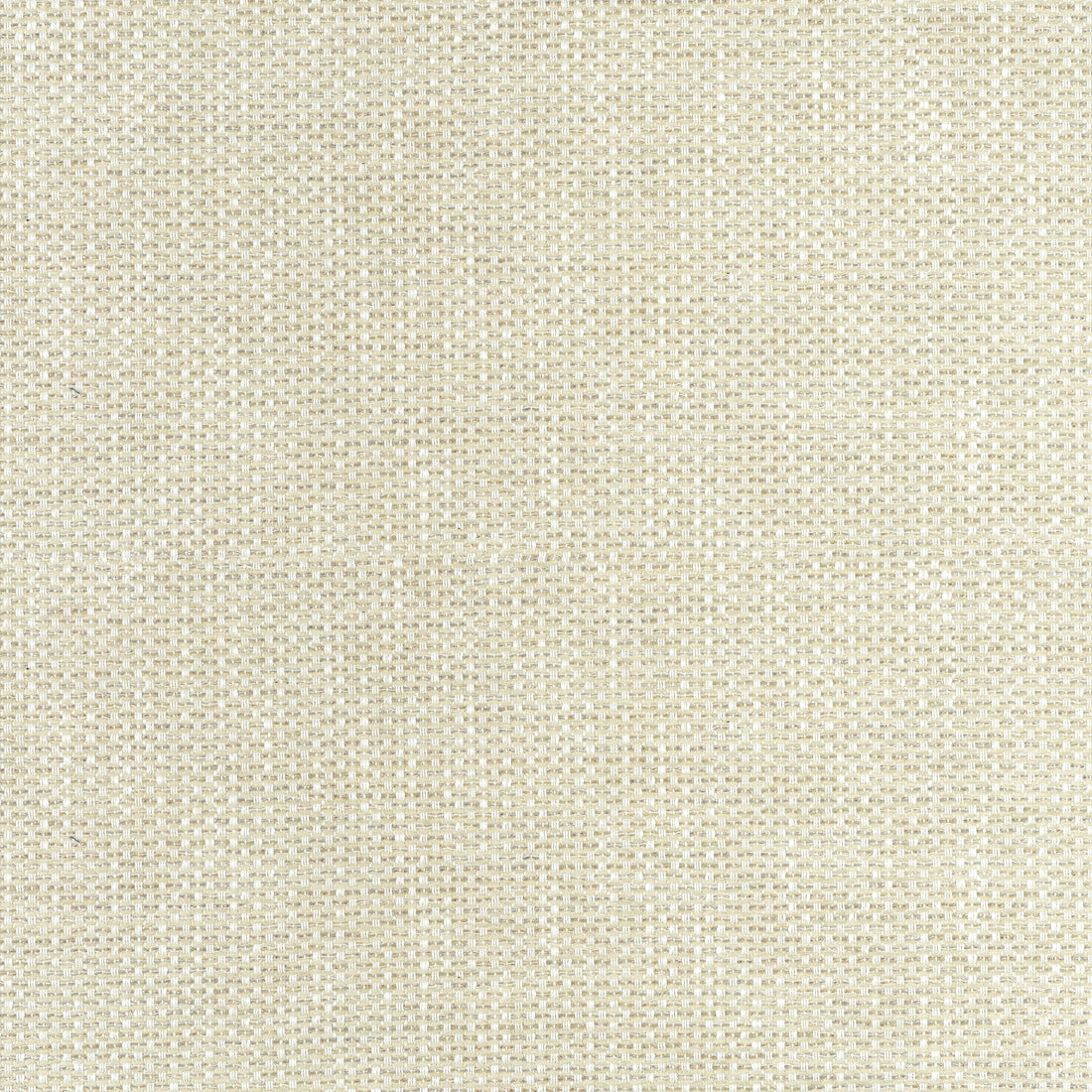 Cascade fabric in oatmeal color - pattern number W75254 - by Thibaut in the Elements collection