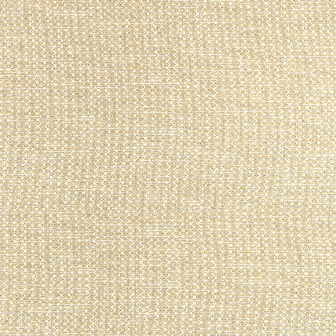 Cascade fabric in straw color - pattern number W75262 - by Thibaut in the Elements collection