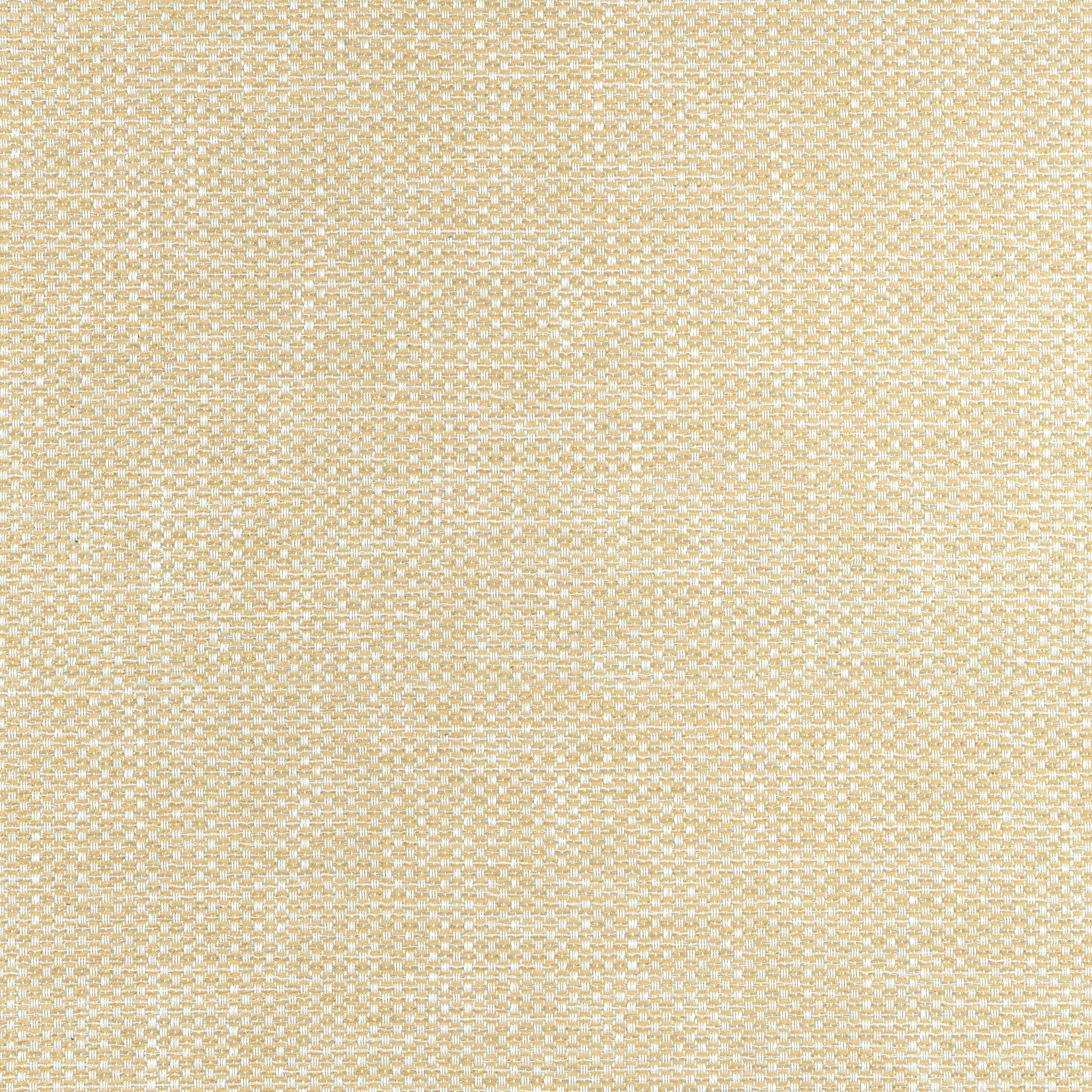 Cascade fabric in straw color - pattern number W75262 - by Thibaut in the Elements collection