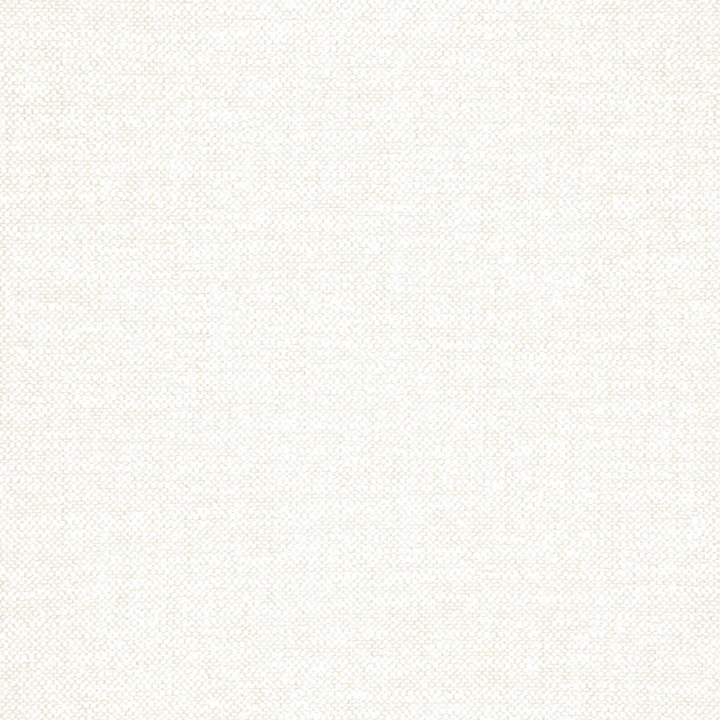 Sasso fabric in parchment color - pattern number W77101 - by Thibaut in the Veneto collection
