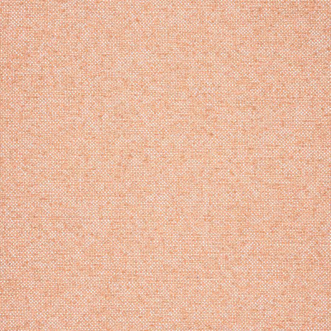Sasso fabric in clay color - pattern number W77106 - by Thibaut in the Veneto collection