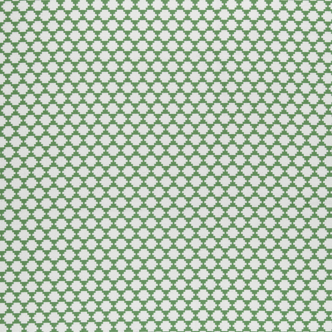 Bijou fabric in green color - pattern number W775452 - by Thibaut in the Dynasty collection