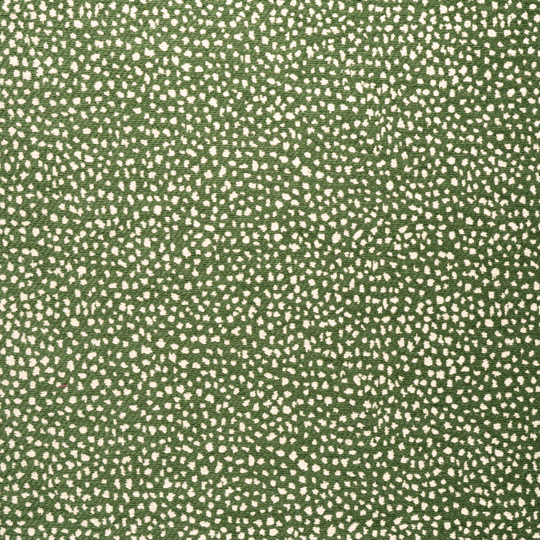 Fawn fabric in forest color - pattern number W78355 - by Thibaut in the  Sierra collection