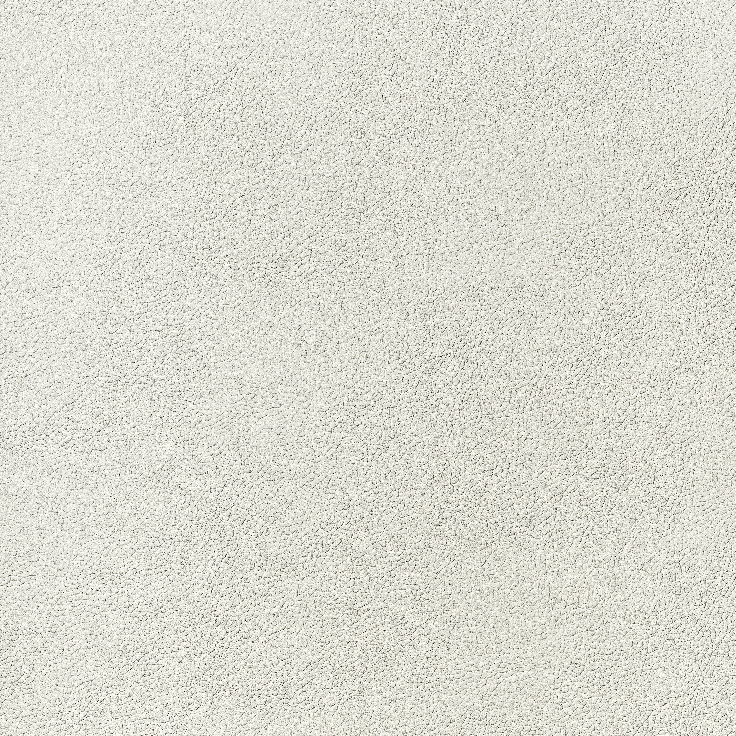 Arcata fabric in ivory color - pattern number W78381 - by Thibaut in the Sierra collection