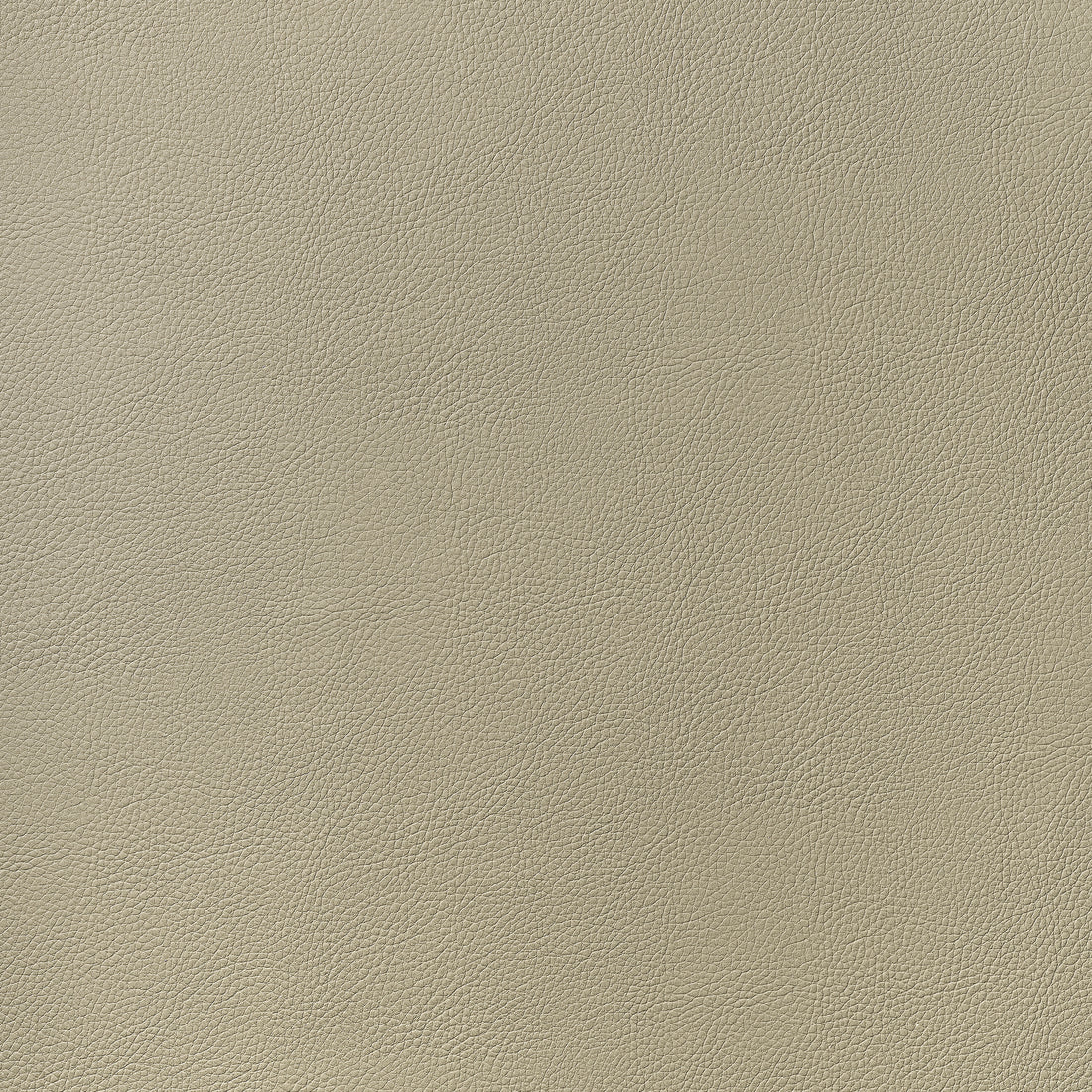 Arcata fabric in dune color - pattern number W78383 - by Thibaut in the  Sierra collection