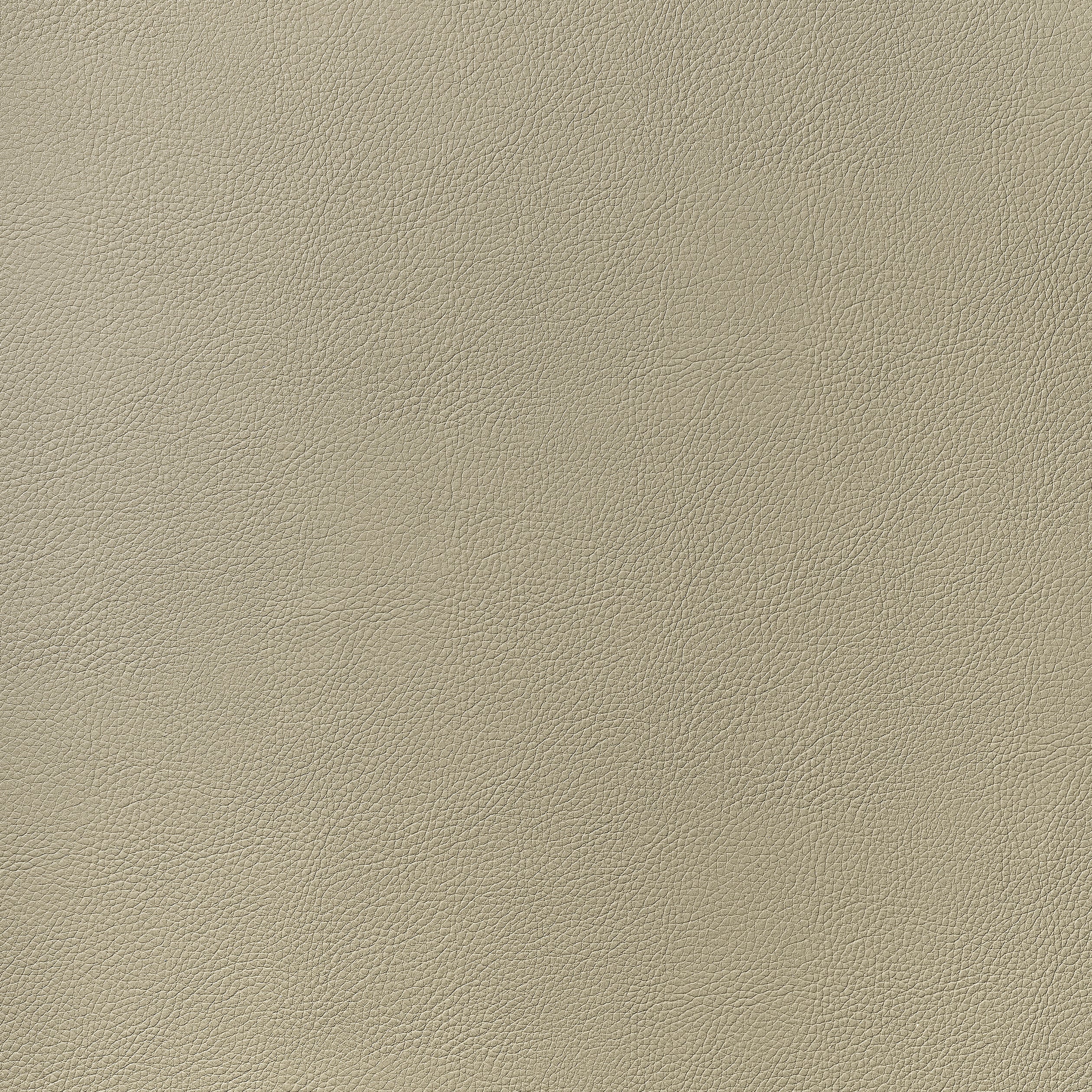 Arcata fabric in dune color - pattern number W78383 - by Thibaut in the Sierra collection