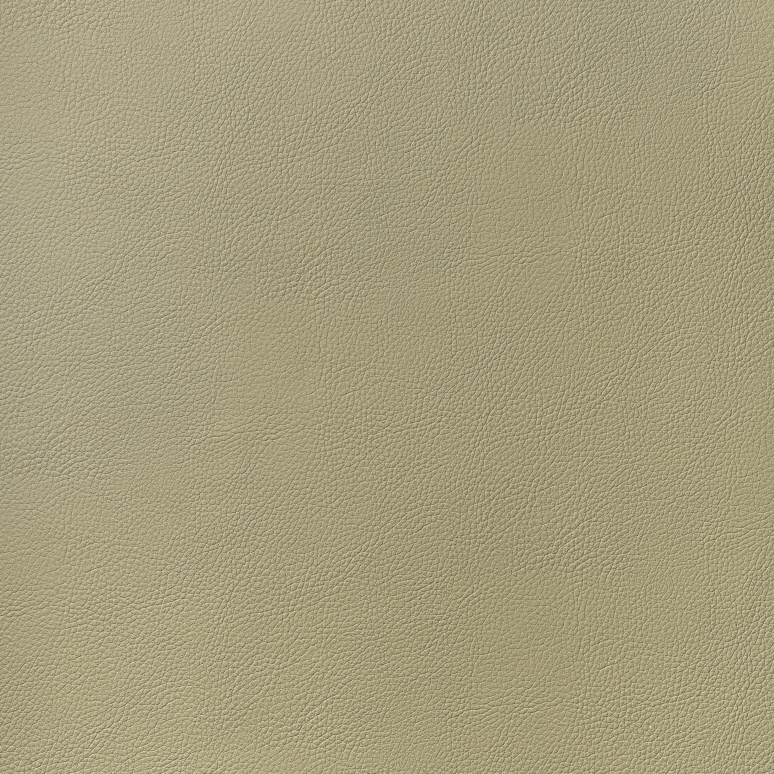 Arcata fabric in twig color - pattern number W78385 - by Thibaut in the Sierra collection