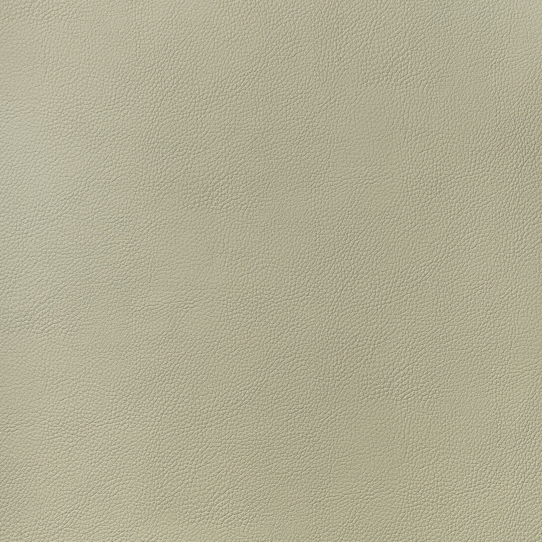 Arcata fabric in oat color - pattern number W78386 - by Thibaut in the  Sierra collection