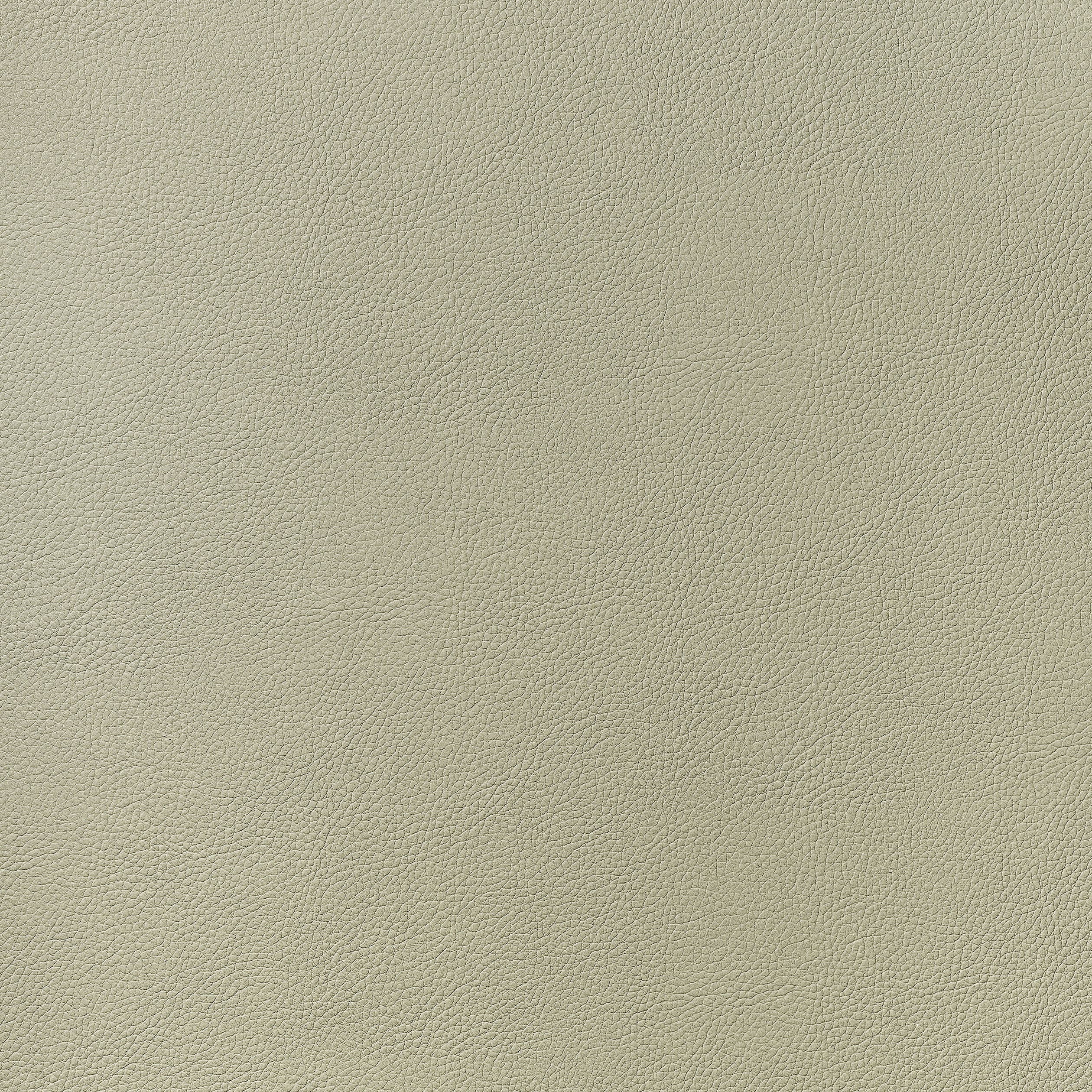 Arcata fabric in oat color - pattern number W78386 - by Thibaut in the Sierra collection