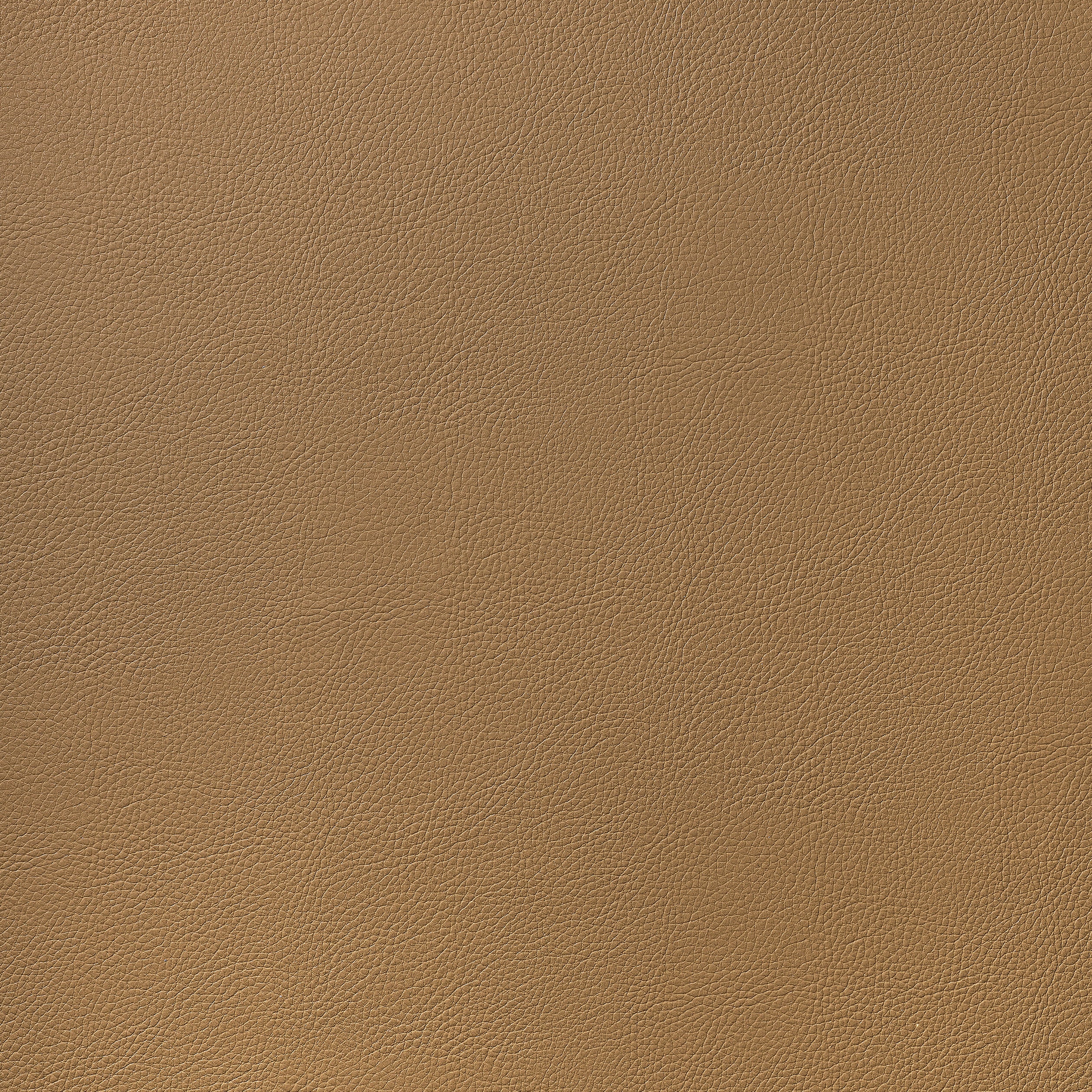 Arcata fabric in saddle color - pattern number W78393 - by Thibaut in the Sierra collection