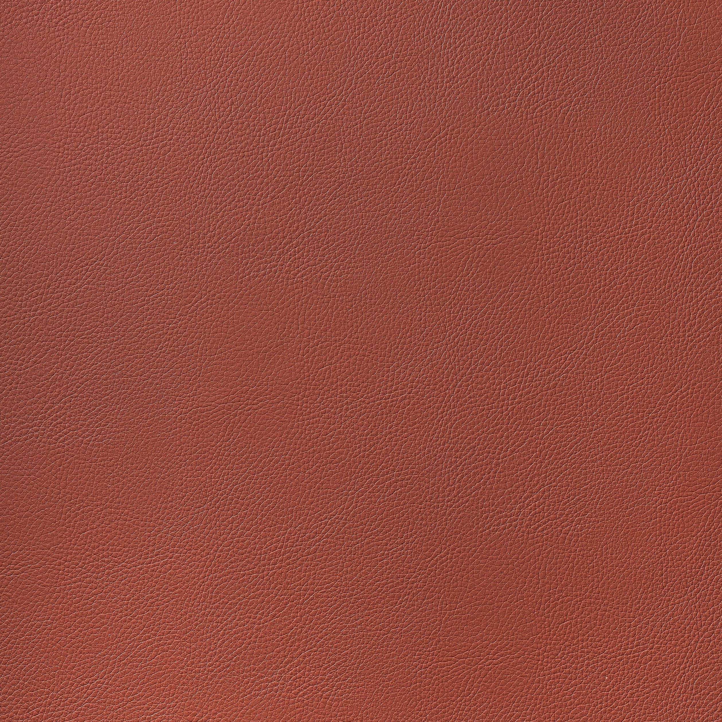 Arcata fabric in brick color - pattern number W78394 - by Thibaut in the Sierra collection