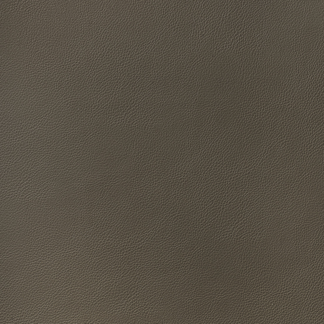 Arcata fabric in bark color - pattern number W78397 - by Thibaut in the  Sierra collection