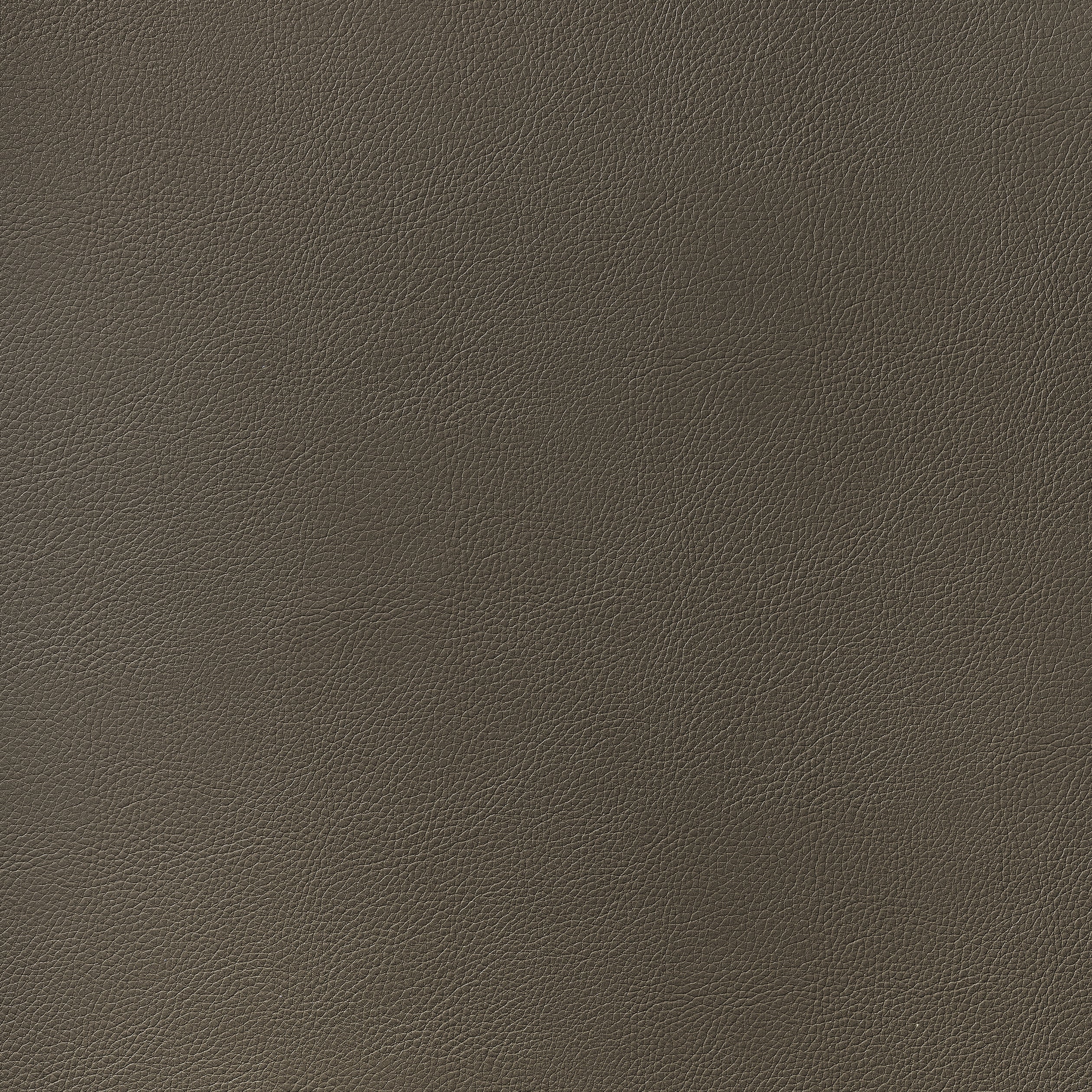 Arcata fabric in bark color - pattern number W78397 - by Thibaut in the Sierra collection