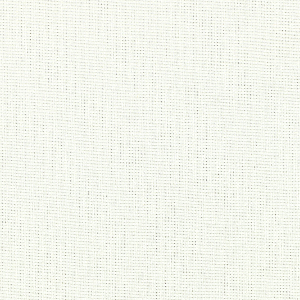 Pierpoint fabric in white color - pattern number W80224 - by Thibaut in the Kaleidoscope Fabrics collection