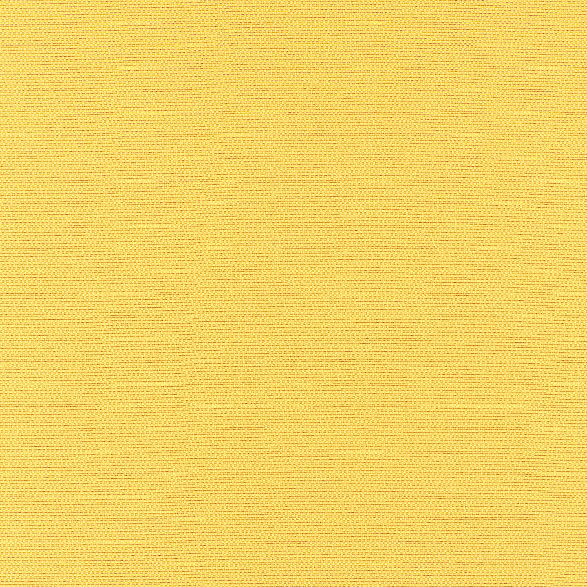 Emery fabric in sunshine color - pattern number W80228 - by Thibaut in the Kaleidoscope Fabrics collection