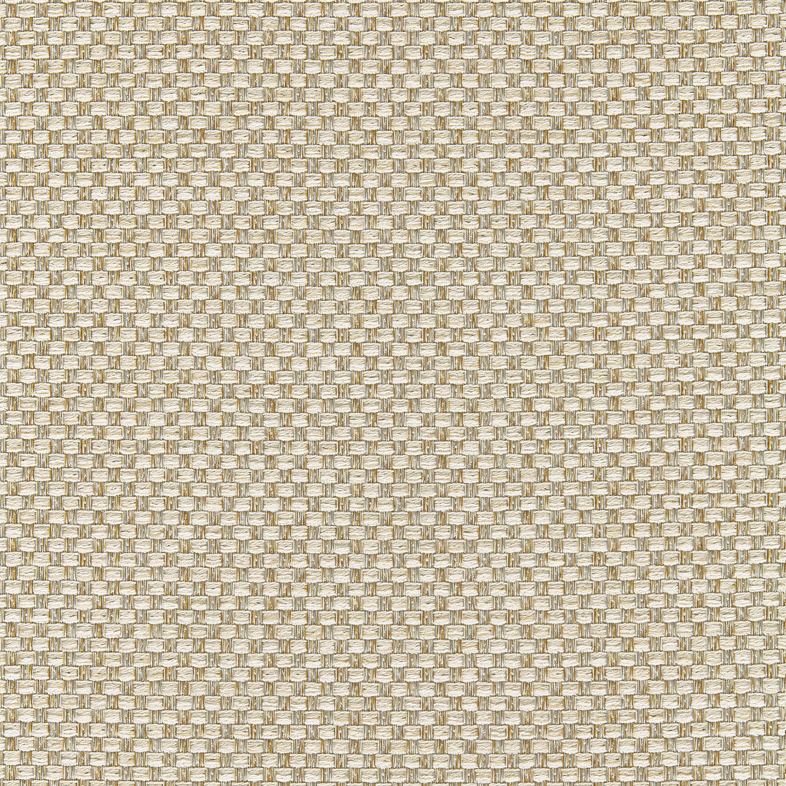 Palmetto fabric in almond color - pattern number W80229 - by Thibaut in the Kaleidoscope Fabrics collection
